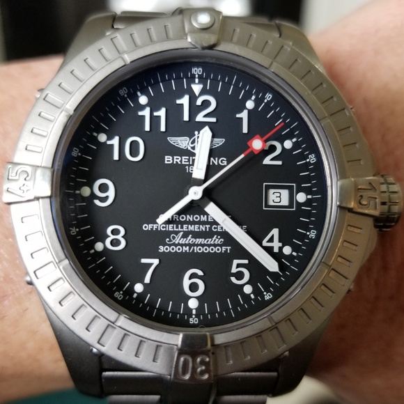 Meet your Posher, Sammy - Picture 6 of 6